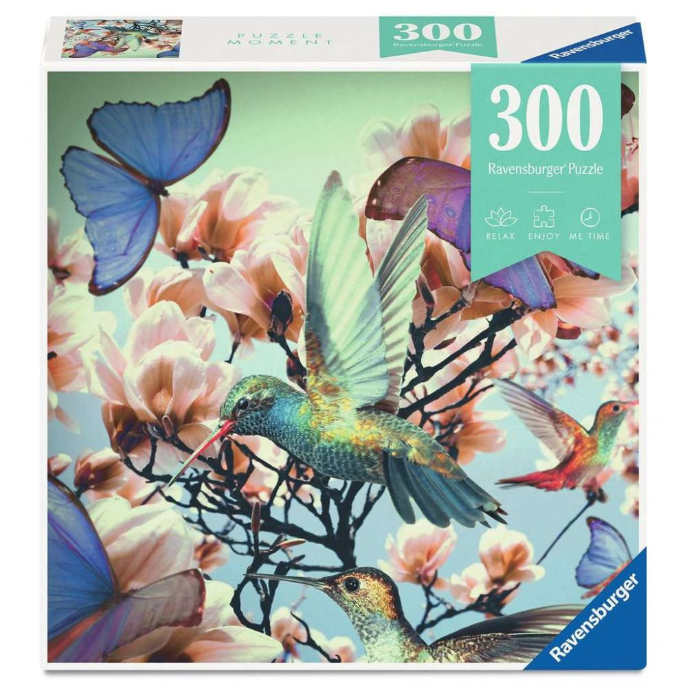 MOMENT COLIBRI - 300