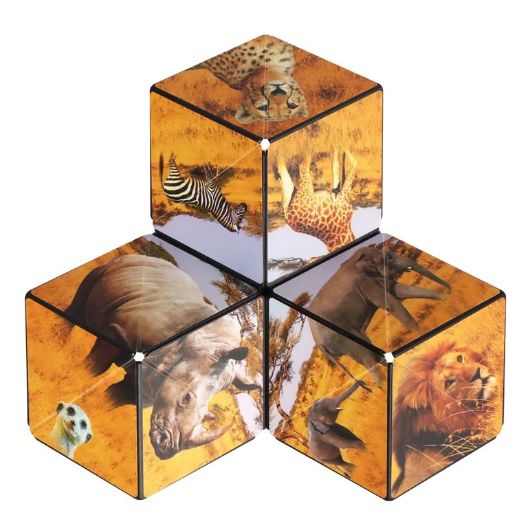SHASHIBO SAVANNA
